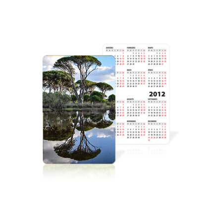 Карманный календарь (60x90mm)